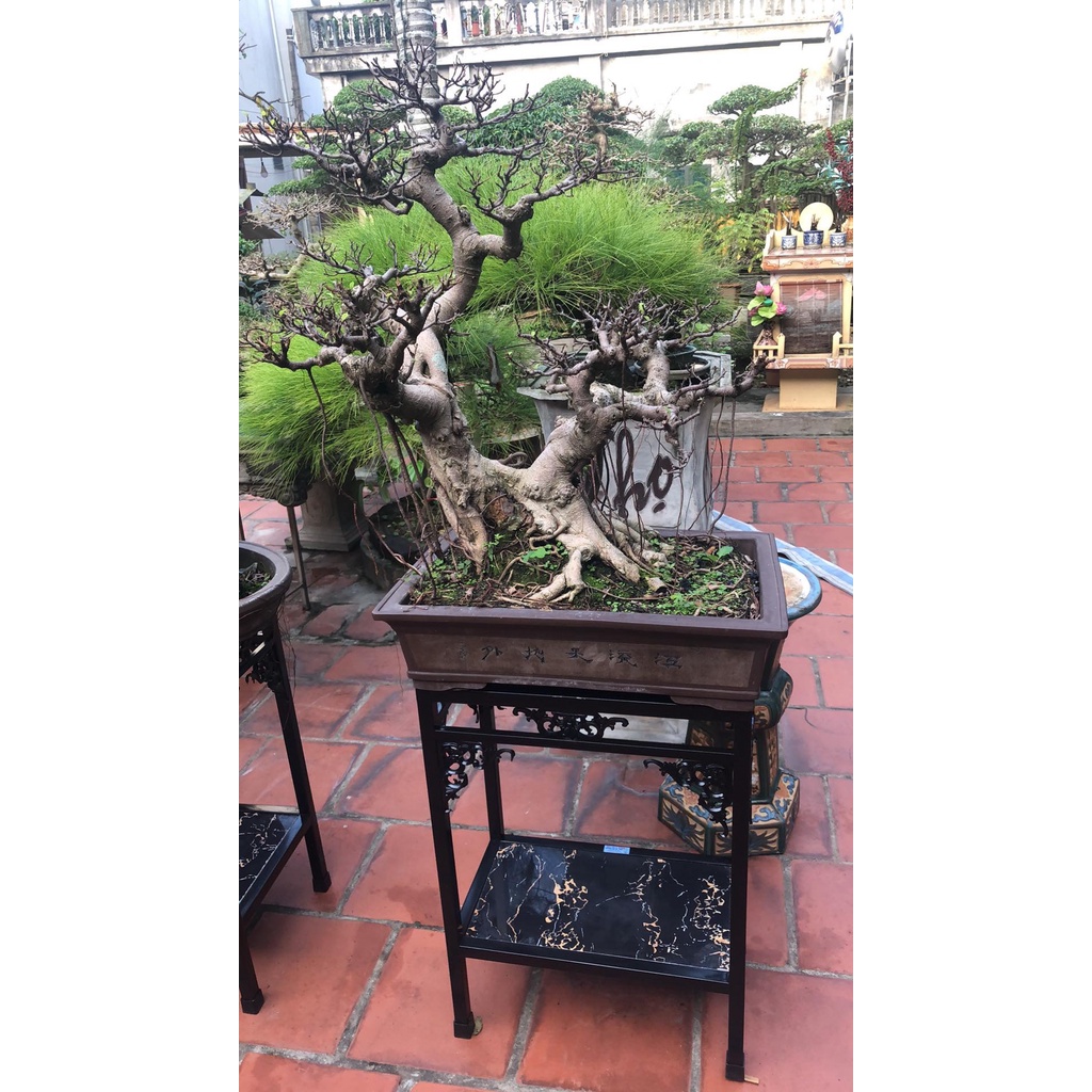 Đôn cây Cảnh Bonsai,  Đôn kê bể cá thủy sinh,Đôn Phong thủy, kệ tượng Thẩm mỹ Cao