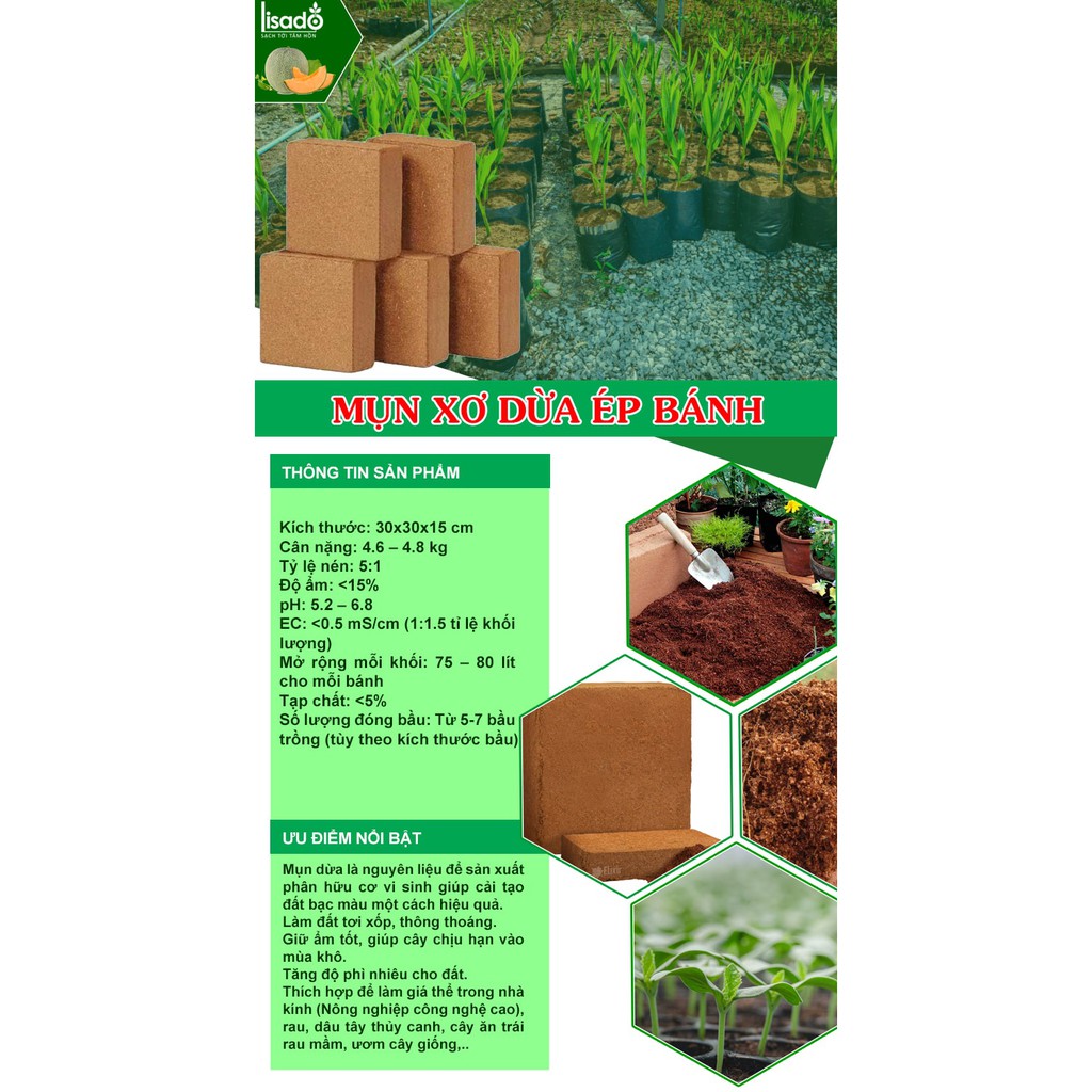 Mụn xơ dừa ép bánh 5kg tương đương bao nặng 25kg    đã qua xử lý, tiêu chuẩn xuất khẩu