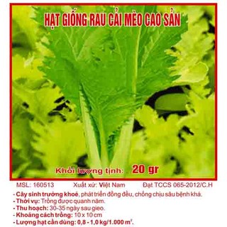 Hạt giống cải mèo