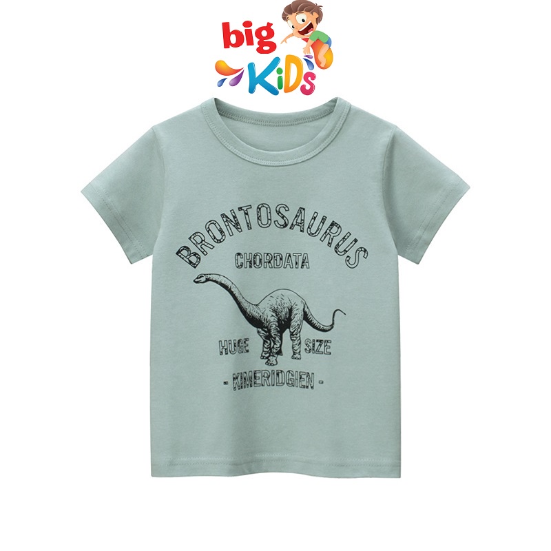 Áo cộc tay bé trai mùa hè chất cotton thun trẻ em 2 đến 8 tuổi BigKids