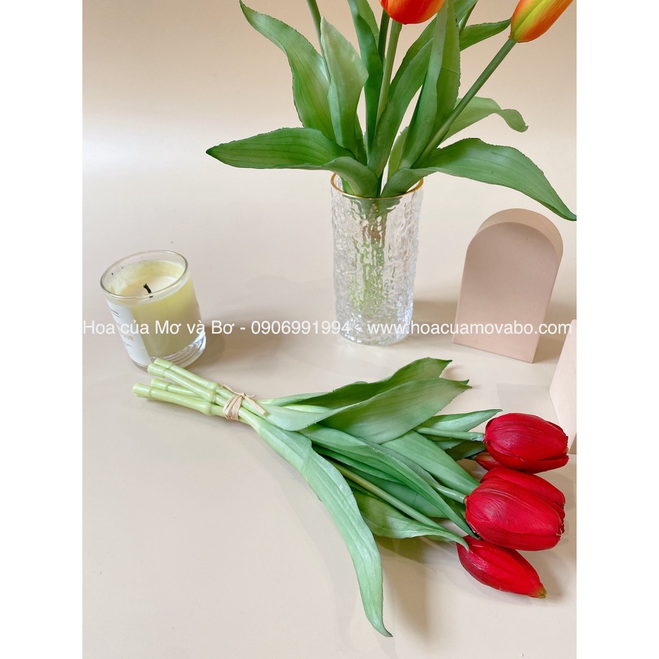 Bó 5 Bông Hoa Tulip Giả Nhiều Màu Cao Cấp Merber (Mơ &amp; Bơ) Bó 3 Bông Hoa 2 Nụ Hoa - Hoa Decor Trang Trí Nhà, P.Khách