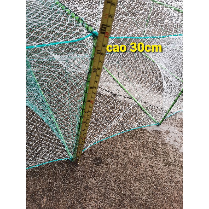 Bát quái khung - nhập khẩu israel