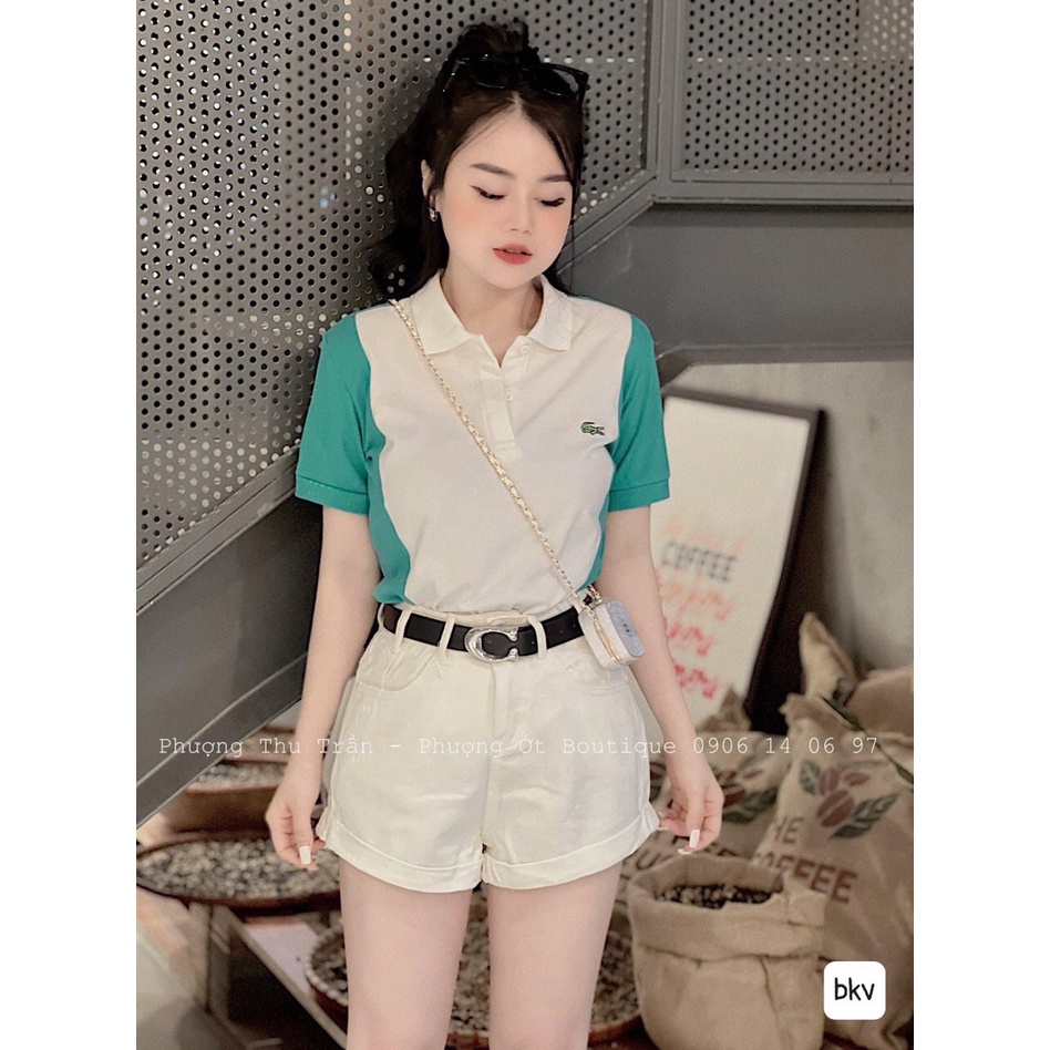Áo thun Polo cổ bẻ phối màu trắng xanh - Chất đẹp