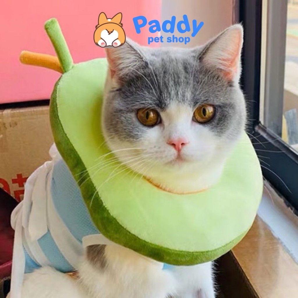 Loa Gối Chống Liếm Nhồi Bông Đáng Yêu Cho Chó Mèo