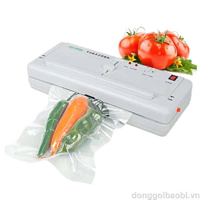 MÁY HÚT CHÂN KHÔNG DZ300A HÚT ĐỒ KHÔ + TÚI