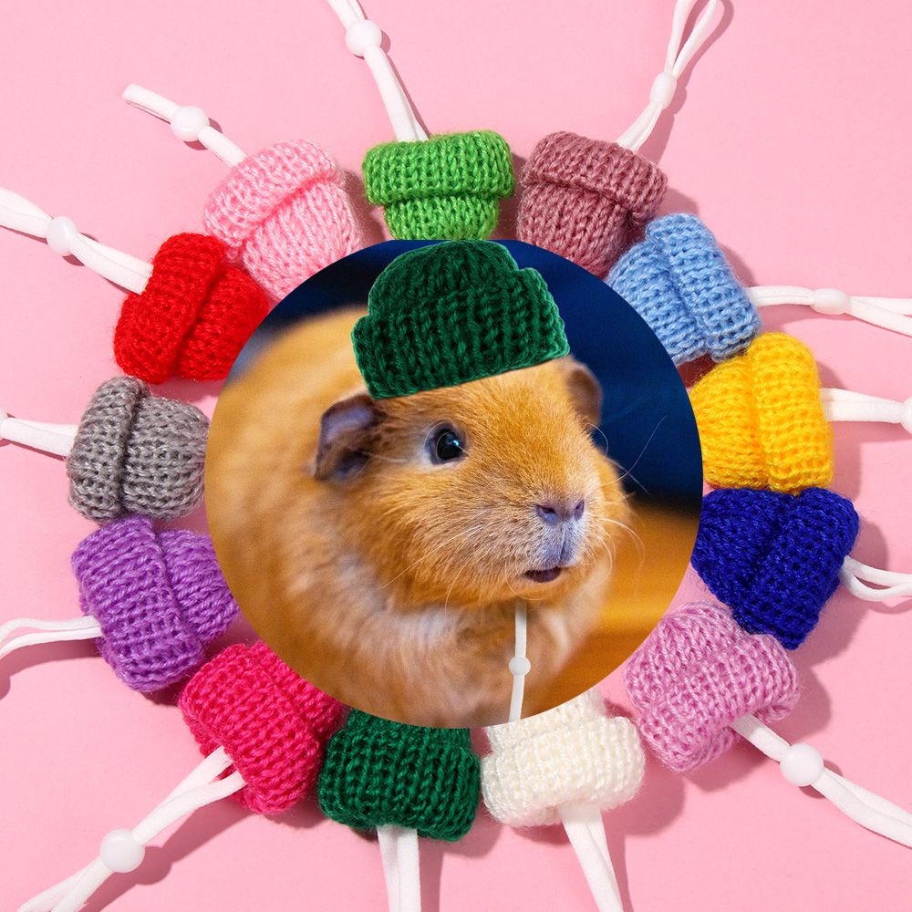 Set 2 mũ len giữ ấm màu trơn nhiều màu tùy chọn dễ thương cho thú cưng