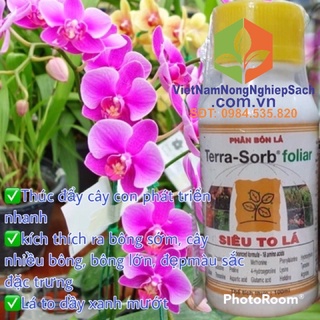 Phân phân bón cho lá to mượt Terra Sorb Foliar chai 500ml