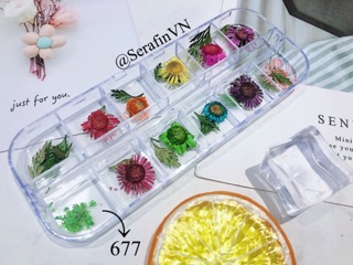 Hoa khô trang trí nến thơm, làm nails