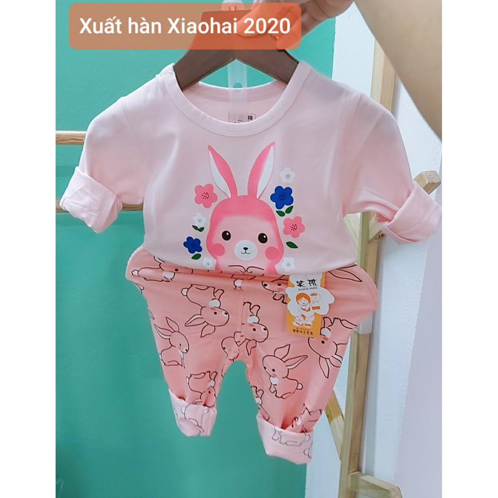 [6-15kg] Đồ bộ dài tay cotton xuất Hàn cho bé gái size nhí | Bảng màu dài tay 2