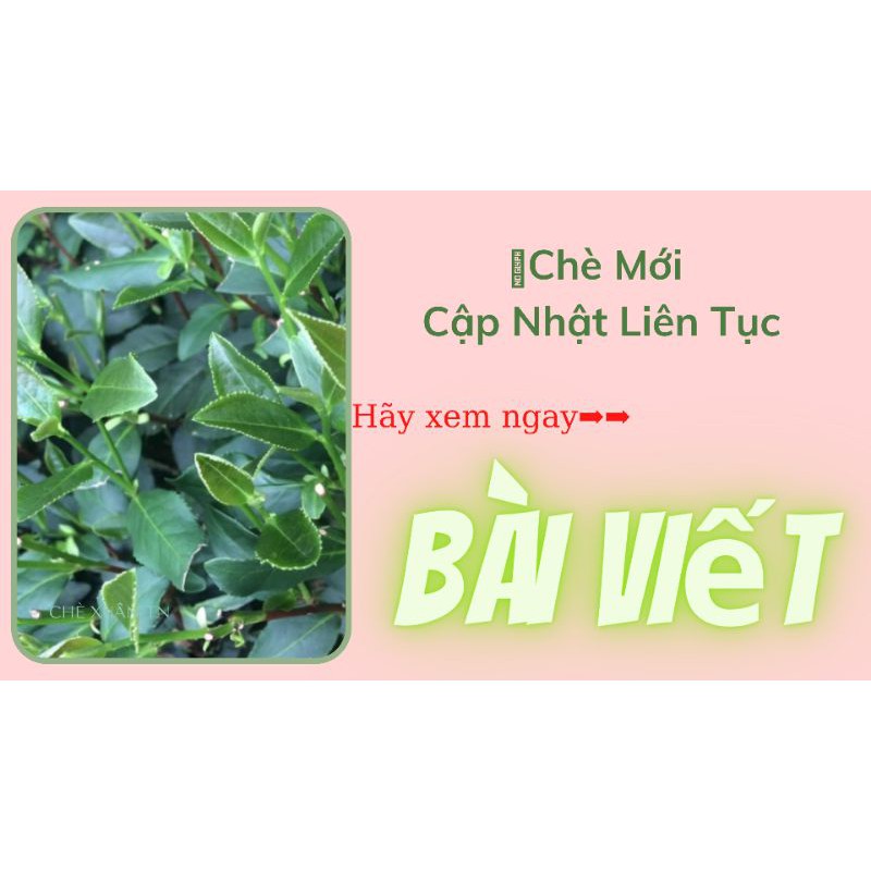 Chè búp Thái Nguyên - Loại Ngon gói 20g