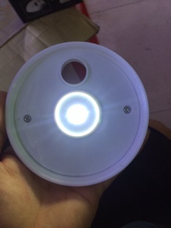 Hồ cá Betta mini