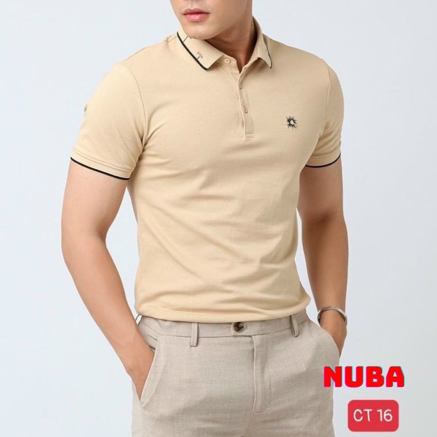 Áo thun nam có cổ,chất vải polo,ao phông cao cấp đẹp giá rẻ AT 16