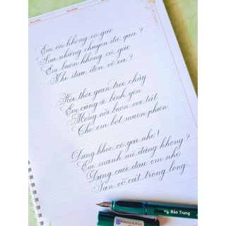 Bút mài Kim Ngọc No3 ngòi F neta mãnh