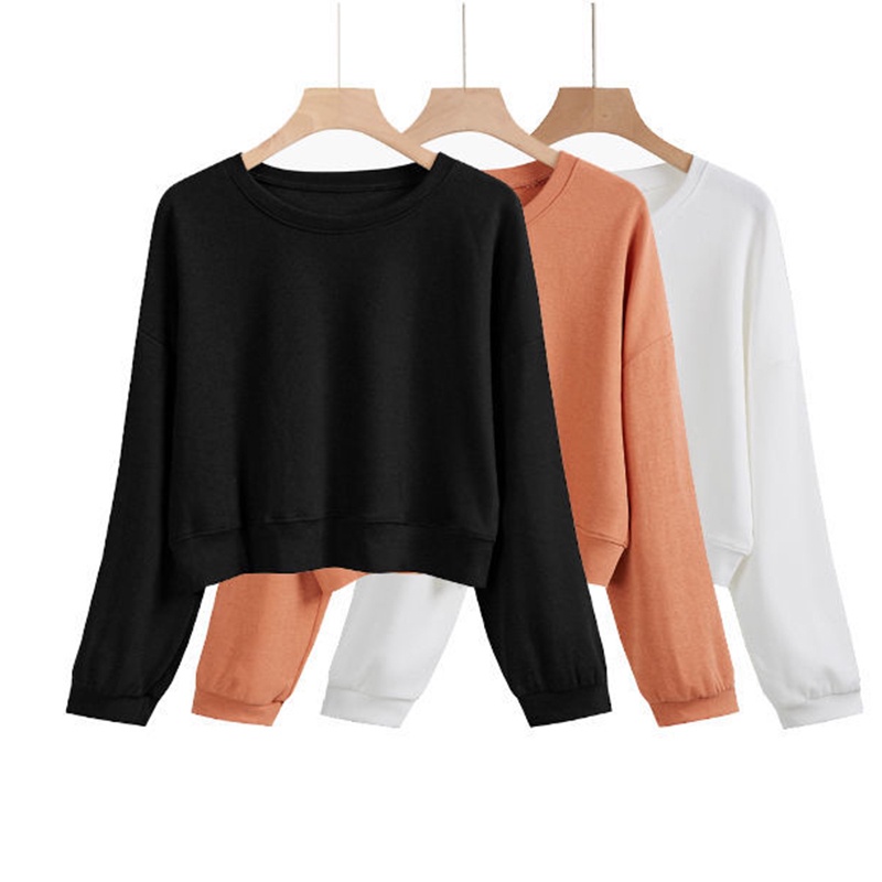 Áo sweater IELGY tay dài cổ tròn màu trơn phong cách Hàn Quốc thời trang cho nữ