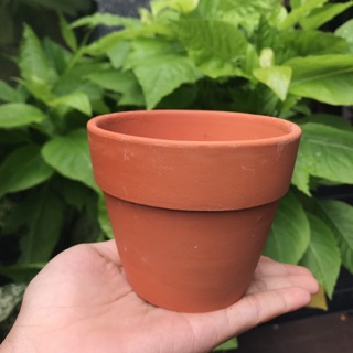 Chậu đất nung size 9,5cm x 8cm