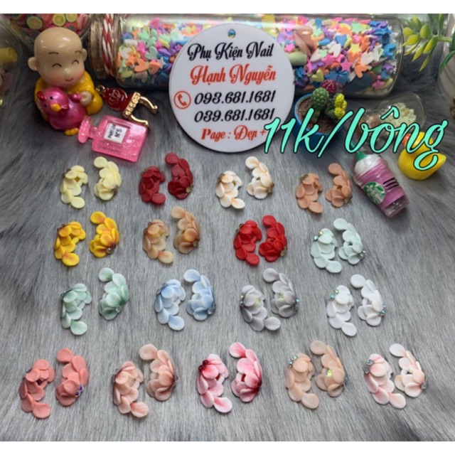 Hoa bột 3D : Hoa Cúc Dài -Set 2 bông 22.000