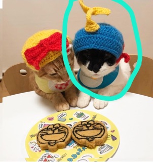 Combo mũ của thu anh