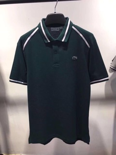 Áo polo 100% cotton cao cấp