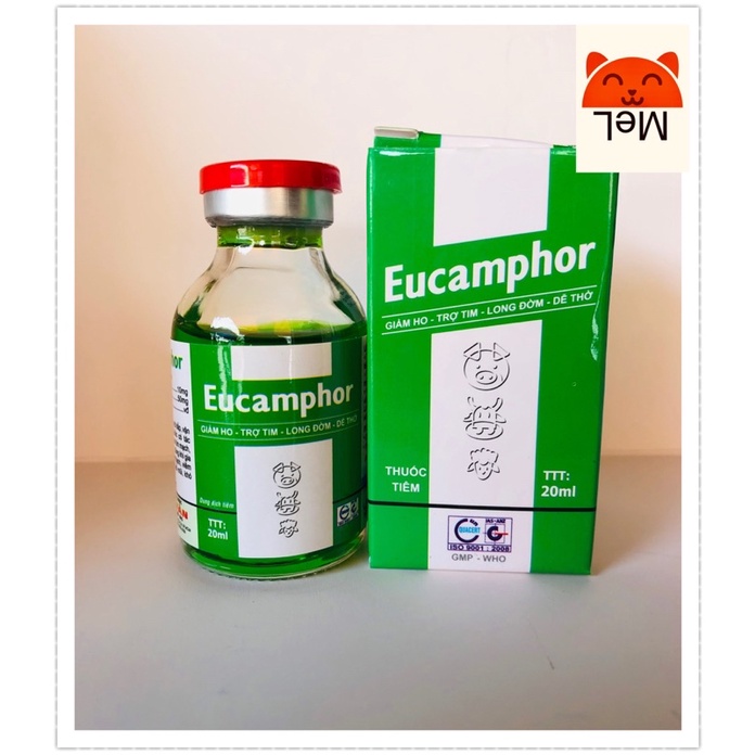 Giảm ho, lông đờm, dễ thở-Eucamphor 20ml SV