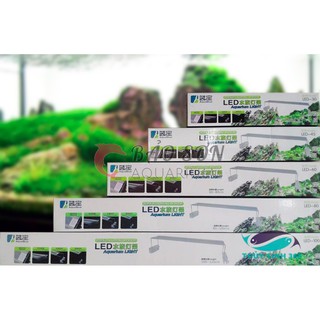 Đèn led Aquablue ánh sáng trắng 10000K cho bể thủy sinh, bể cá từ 100cm và 120cm