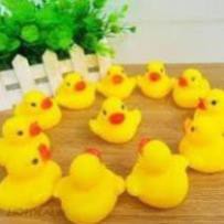Sỉ đồ chơi vịt tknkshop