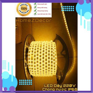 Đèn led 2835, đèn led nháy đôi, đèn trang trí cuốn cây, hắt trần, siêu đẹp, siêu bền