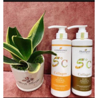 Cặp dầu gội xả 5C Collagen MAKAYRY Siêu Mềm Mượt 500ml