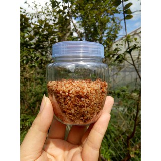 hũ 100gr muối xí muội chuẩn Đà Lạt hàng loại 1