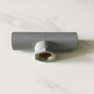 T ren trong 21 bình minh