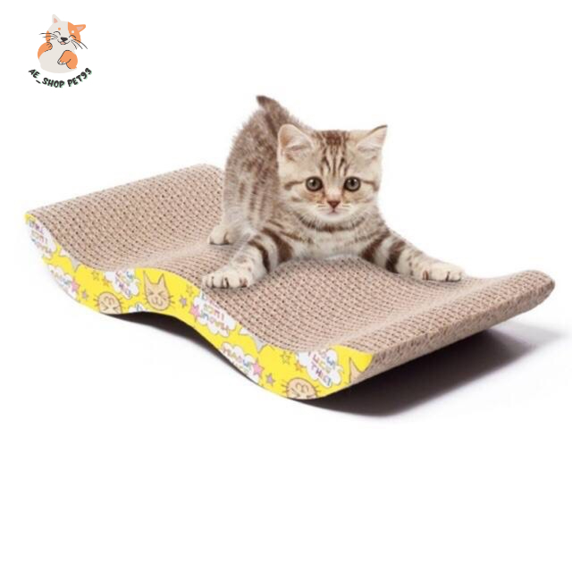 Bàn Cào Móng Cho Mèo Carton - Đồ Chơi Cho Mèo