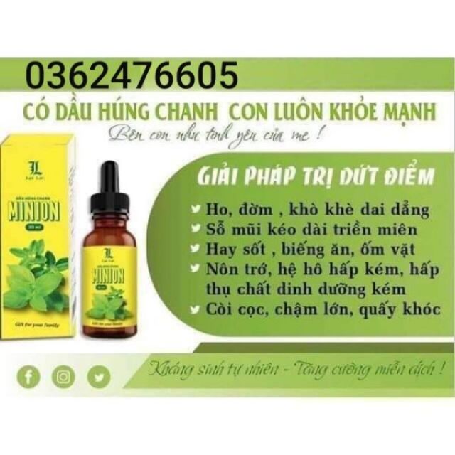 Dầu húng chanh Minion