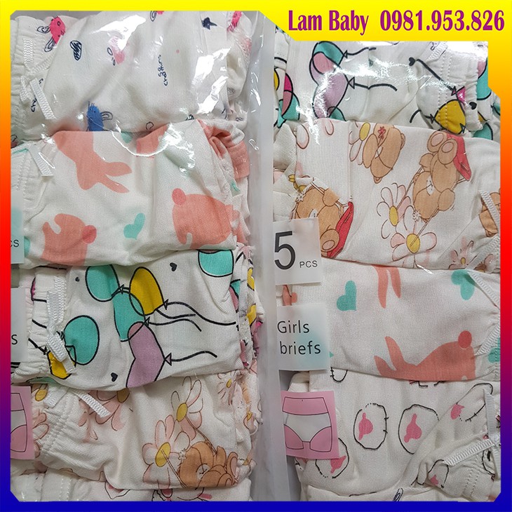 Set 5 Chiếc Quần Lót Đùi, Quần Tam Giác Cotton Cho Bé Gái - Hàng Siêu Đẹp