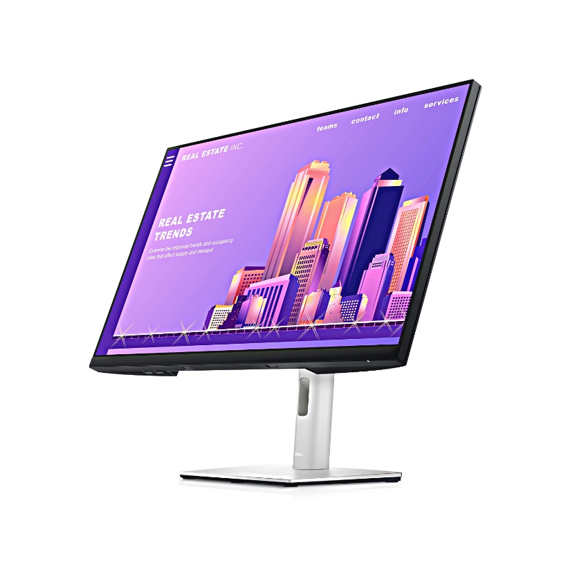 Màn hình Dell P2422H/ 23.8inch FHD/ IPS/ 60Hz/ 3Yrs