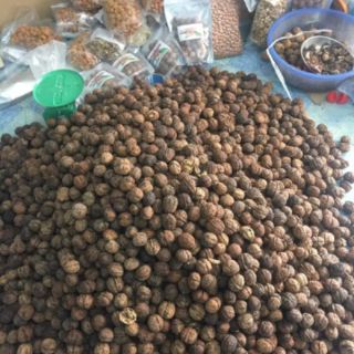 500g óc chó nếp sa pa (vỏ mỏng , cơm nhiều)