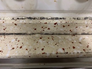 Chai tẩy MOLD CLEANER