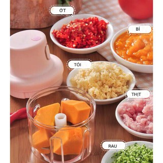 Máy xay mini cầm tay xay thịt gia vị tỏi ớt rau củ kèm dây sạc dung tích 250ml (warmstores)