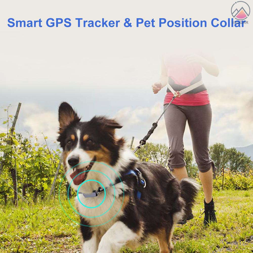 Vòng đeo cổ xác định vị trí GPS IP67 dành cho thú cưng