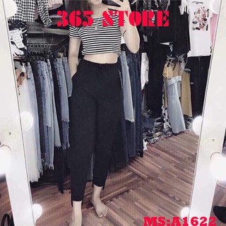 Quần baggy cạp chun 2 vạt DNB739