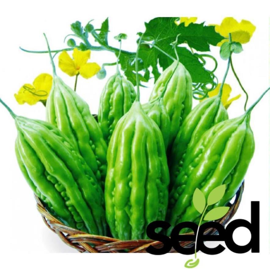 2Gram Hạt Giống Khổ Qua Trái Dài