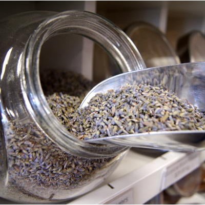 Lavender Đà Lạt - Hoa oải hương mẻ mới siêu thơm Sỉ Lẻ | BigBuy360 - bigbuy360.vn