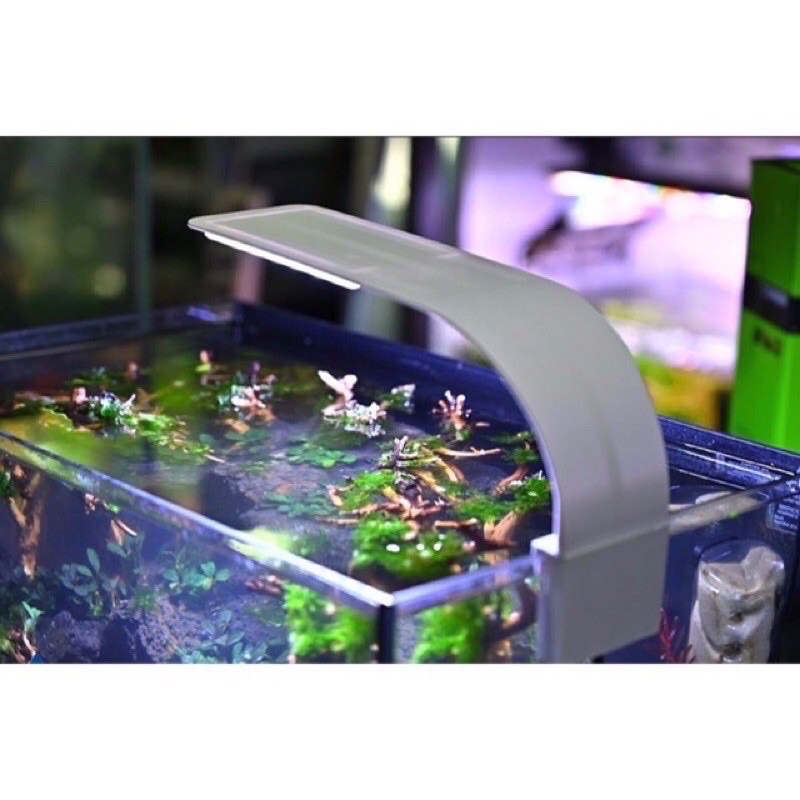 Đèn LED màu trắng kẹp thành hồ cá thủy sinh size 30-40cm M-280 | m280