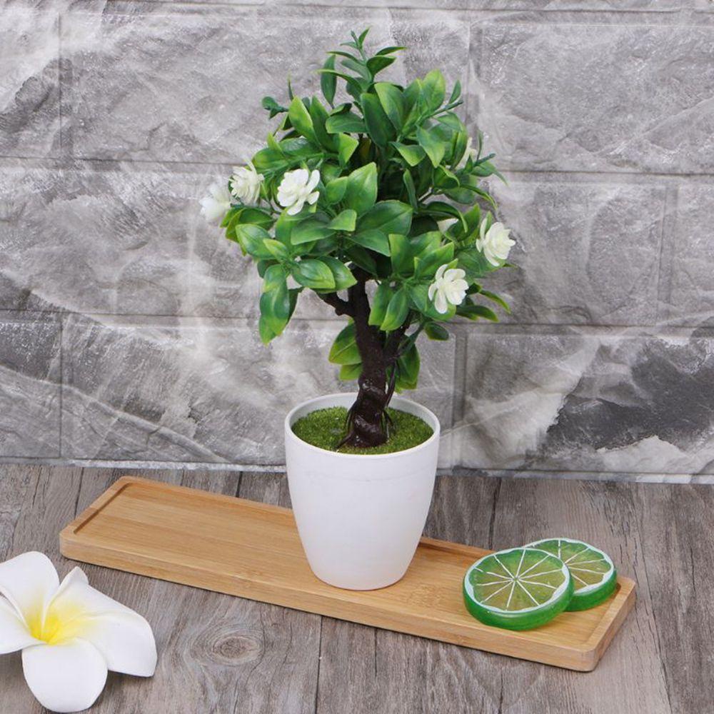 Chậu Hoa Để Bàn Trang Trí Thiết Kế Tinh Tế