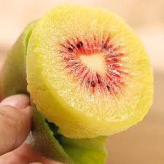 Cây giống kiwi ruột đỏ