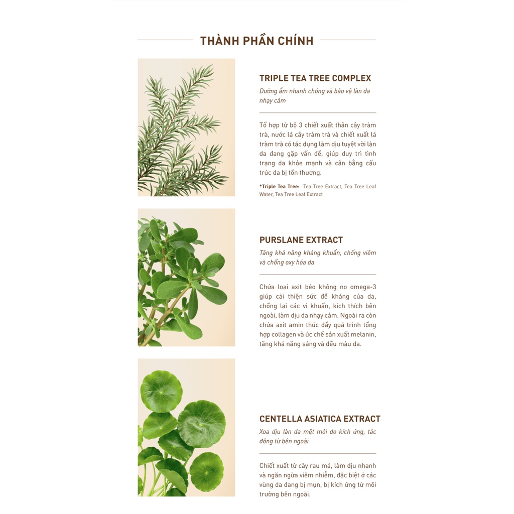 Serum Trắng Da Giảm Mụn S.O.B Tea Tree Serum 30ml