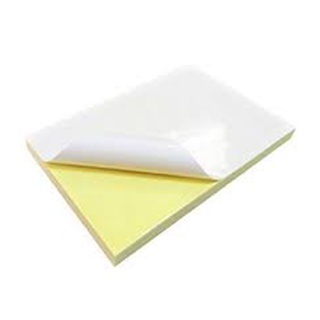 Decal Đế Vàng Amazon A4 - Tập 100 Tờ