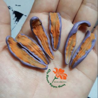 Gân hoa bỉ ngạn