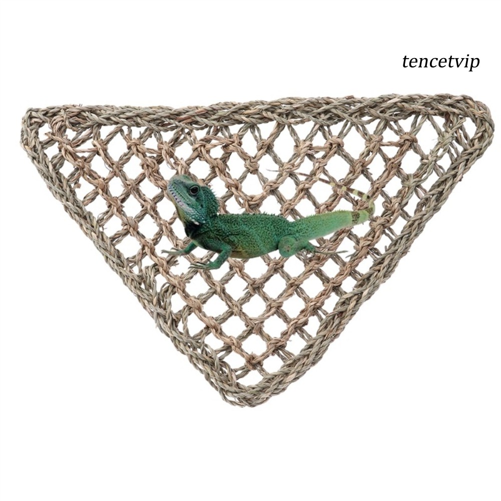 LIZARD Võng Lưới Treo Chuồng Nuôi Bò Sát Hình Tam Giác Độc Đáo