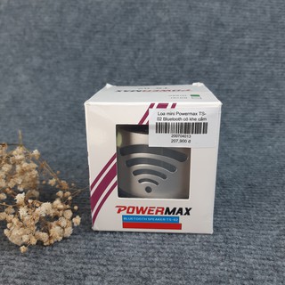 Loa không dây Powermax TS-02