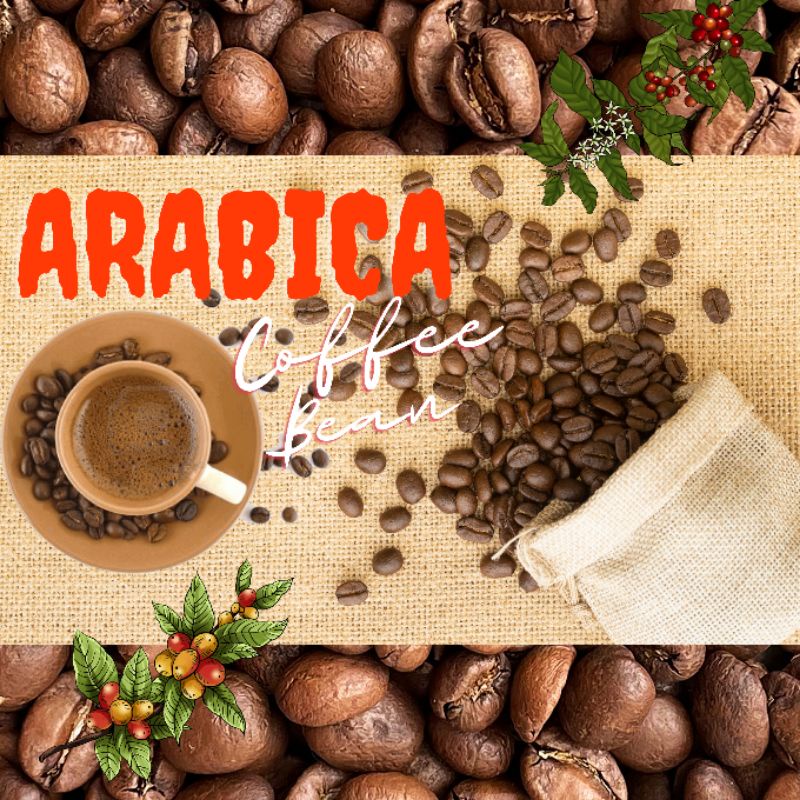 Cà phê hạt Arabica rang mộc nguyên chất, cafe arabica cầu đất đà lạt