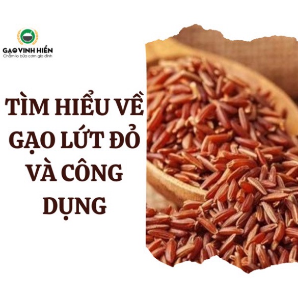 Trà gạo lứt huyết rồng rang sẵn 500gr, Gạo huyết rồng cao cấp